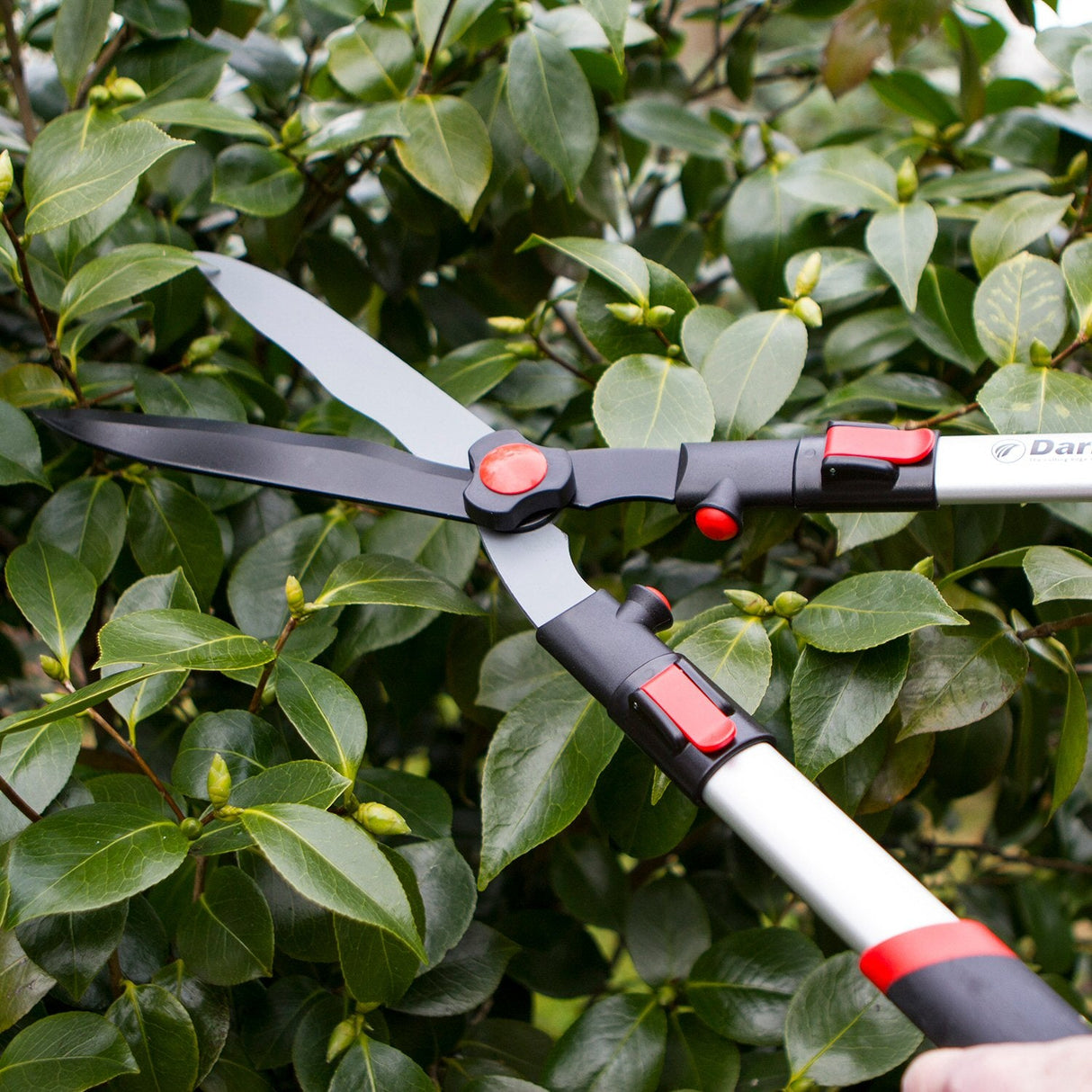 Darlac Telescopic Hedge Shear - DP810 - Old Railway Line Garden Centre