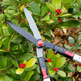 Darlac Telescopic Hedge Shear - DP810 - Old Railway Line Garden Centre