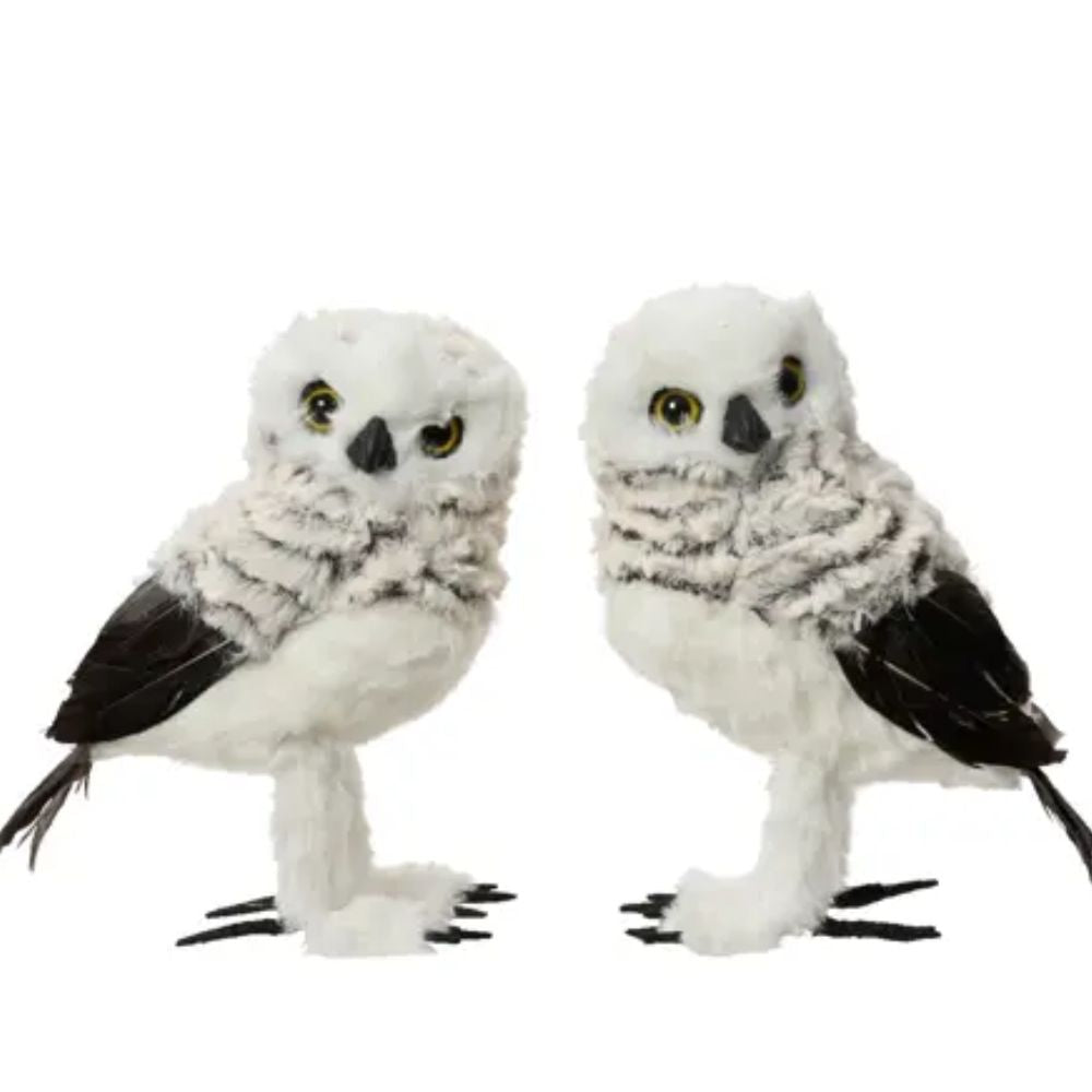 Decoris 16cm White Owls (Choice of 2)