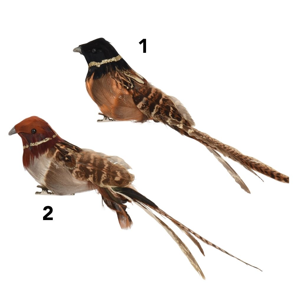 Decoris 20cm Festive Brown Birds on Clip Tree Decoration - (Choice of 2)