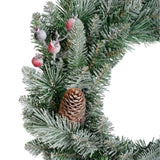 Decoris 50cm Frosted Windham Wreath