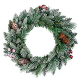 Decoris 50cm Frosted Windham Wreath