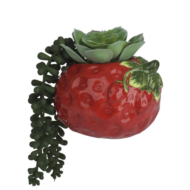 Decoris Artificial Succulent Plant in Strawberry Dolomite Vase - Old Railway Line Garden Centre
