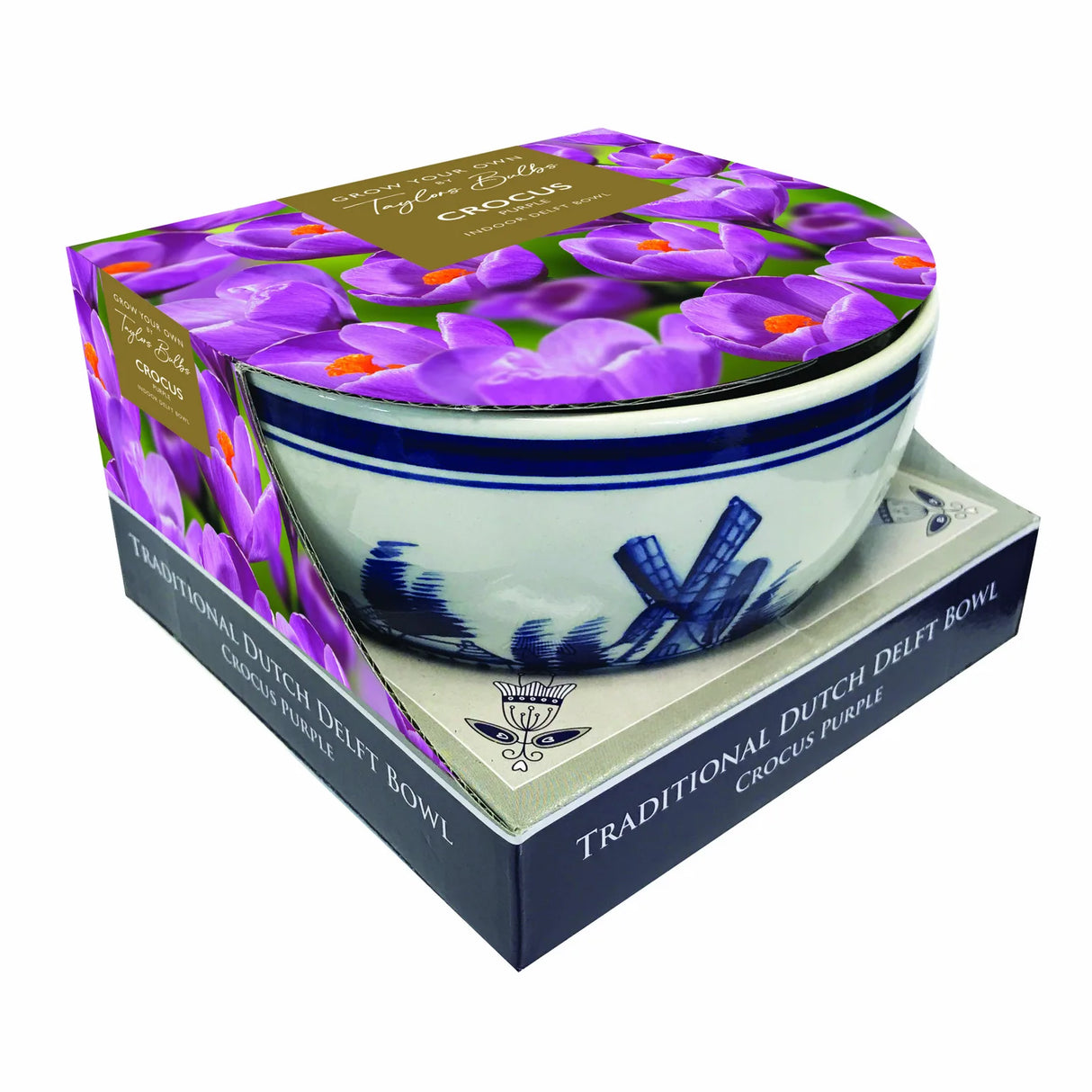 Taylors 9 Purple Crocus Delft Bowl Indoor Bulb Gift Set