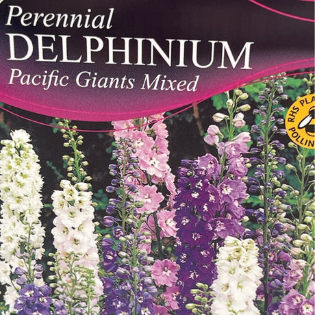 Delphinium Pacific Giant Mixed Plant - 1Ltr Pot