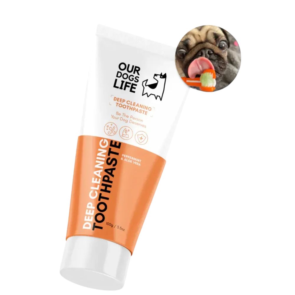 Dogslife 100g Dog Toothpaste