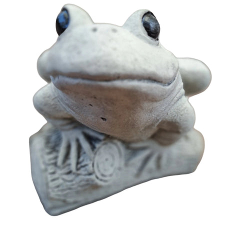 Dream Gardens 17cm Frog on a Log Stone Ornament - Old Railway Line Garden Centre