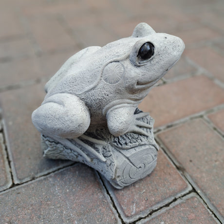 Dream Gardens 17cm Frog on a Log Stone Ornament - Old Railway Line Garden Centre
