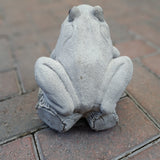 Dream Gardens 17cm Frog on a Log Stone Ornament - Old Railway Line Garden Centre