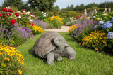 Dream Gardens 29cm Large Tortoise Stone Ornament