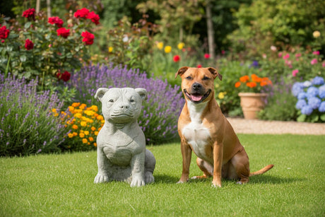 Dream Gardens 32cm Stone Staffy Garden Ornament - Old Railway Line Garden Centre