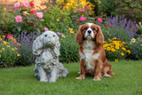 Dream Gardens 33cm Stone King Charles Spaniel Garden Ornament