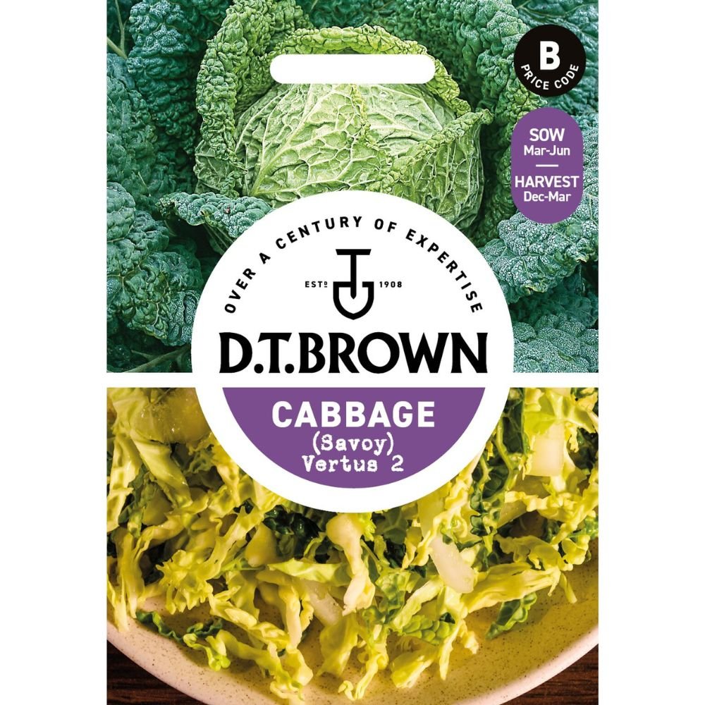 D.T Brown Cabbage 'Savoy' Vertus Seeds - Old Railway Line Garden Centre