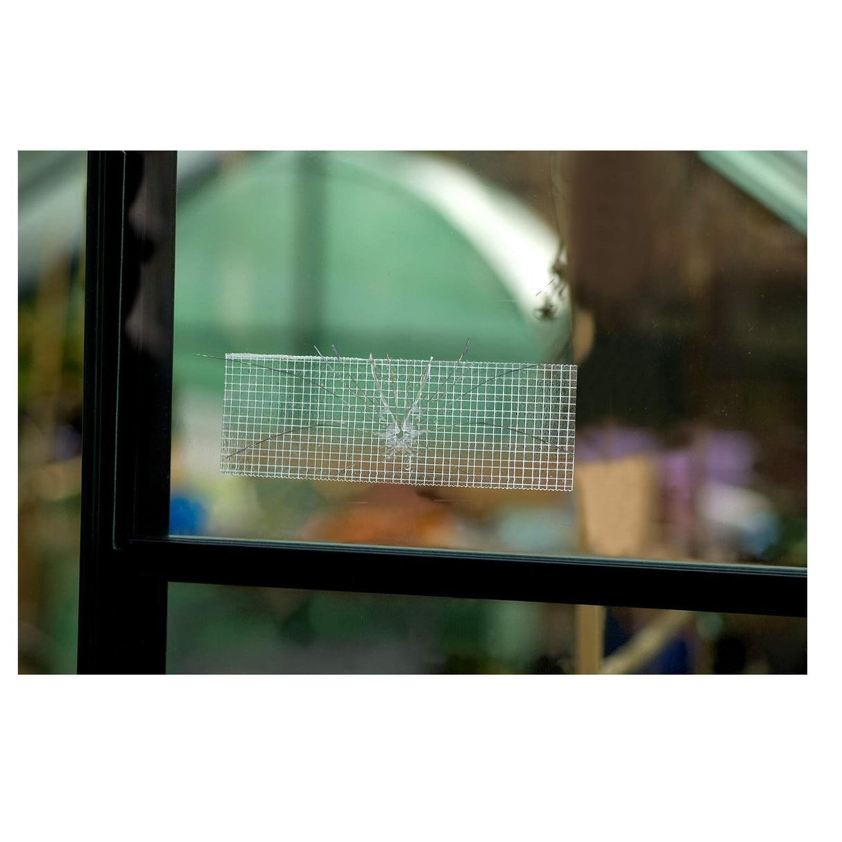 Duck 50mm Clear Ultimate Tape