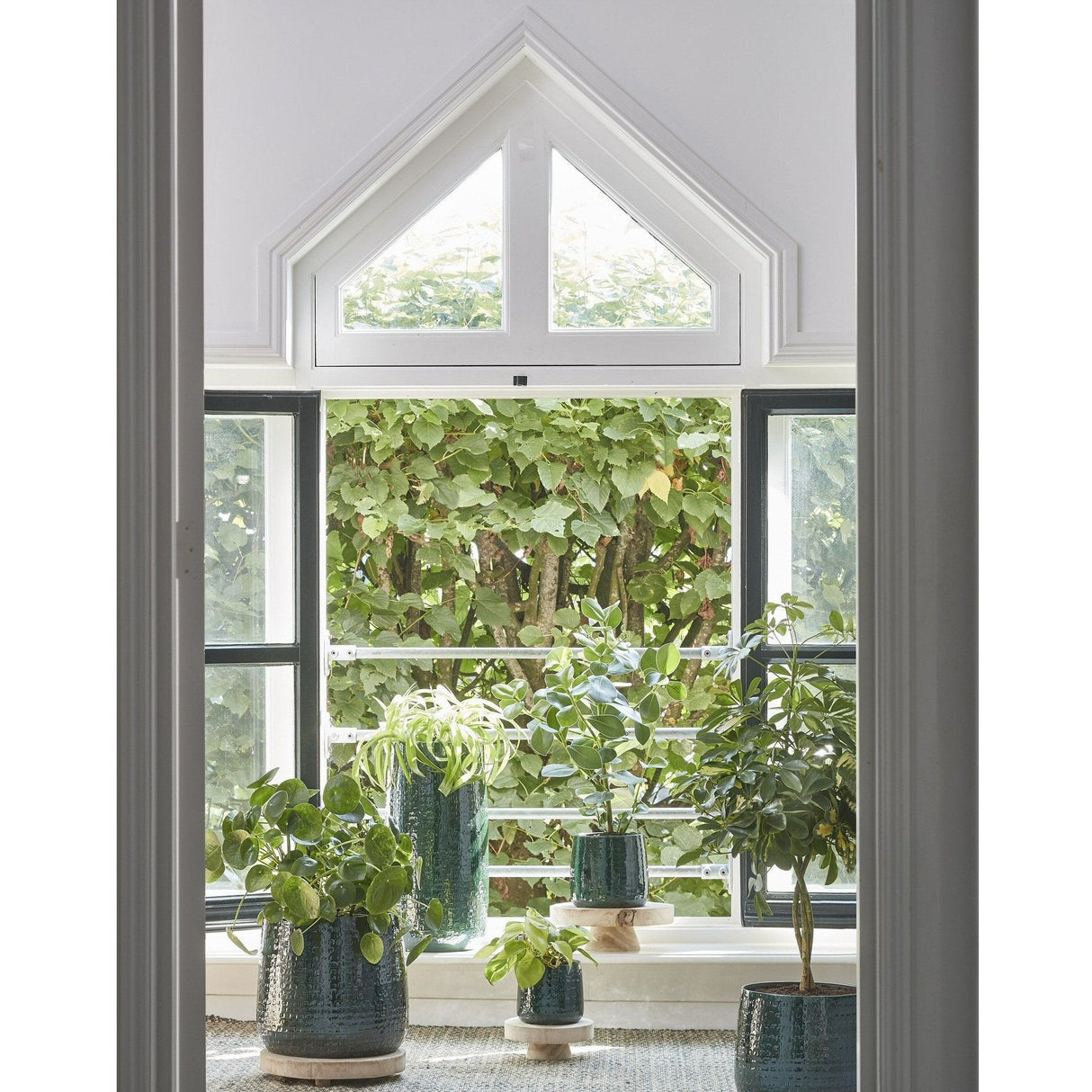 Edelman 28cm Forest Green Floyd Houseplant Pot - Old Railway Line Garden Centre