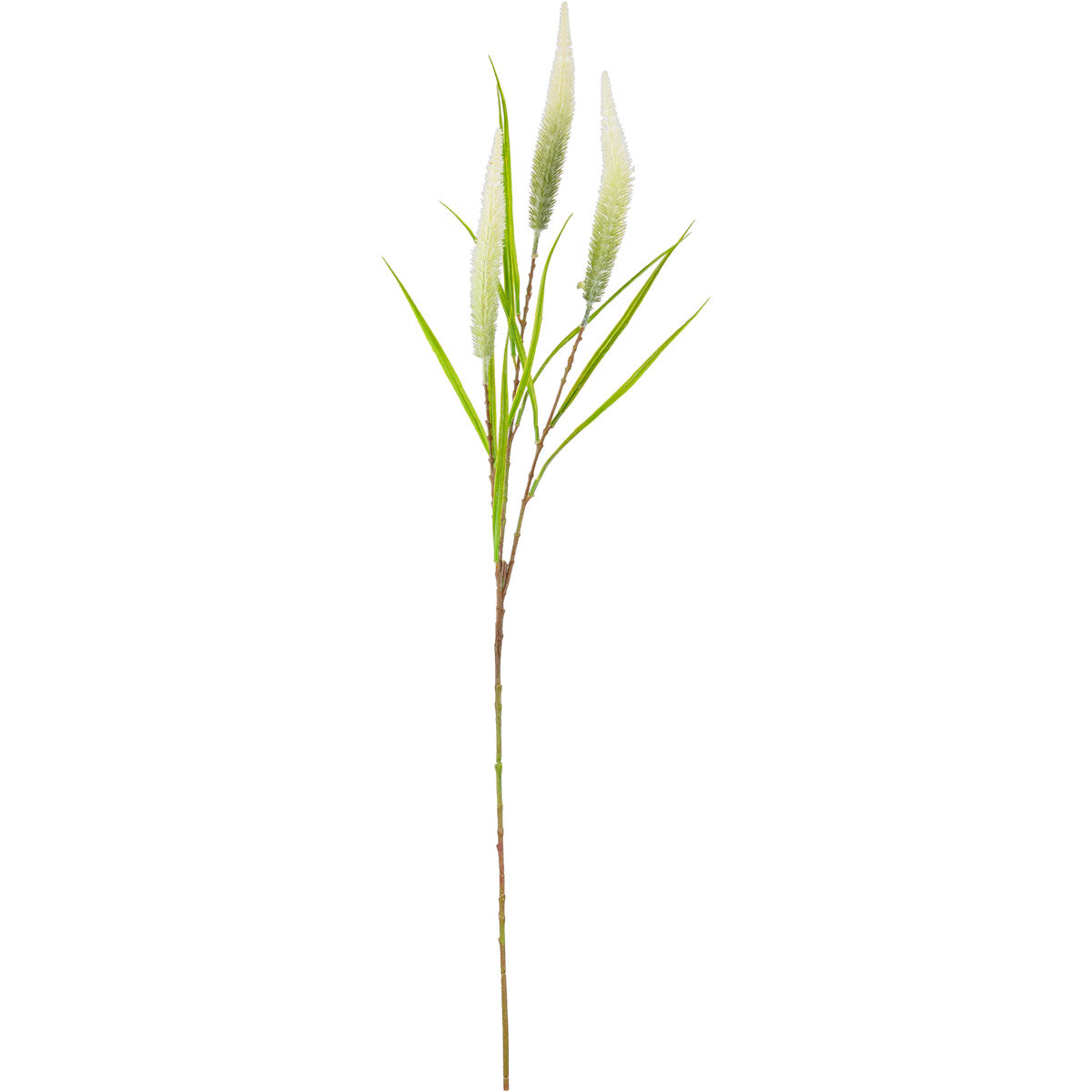 Eleganza 100cm Reed Spray - White/Green
