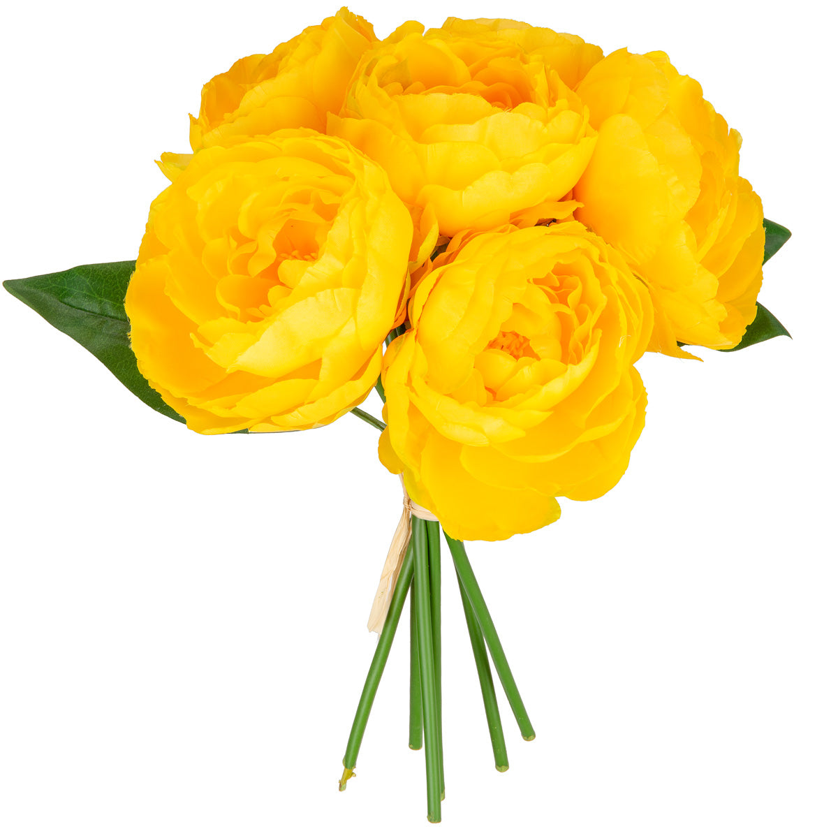 Eleganza 6 Princess Peony Bunch - Orange