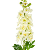 Eleganza Artificial Delphinium Stem - Ivory - Old Railway Line Garden Centre