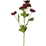 Eleganza Floral 62cm Hellebore Rose Burgundy