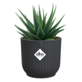 Elho 11cm Vibes Fold Round Mini Pot - Anthracite