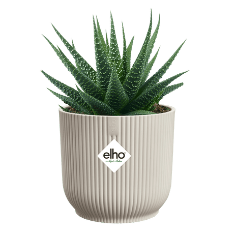 Elho 11cm Vibes Fold Round Mini Pot - Linen White - Old Railway Line Garden Centre