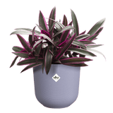 Elho 14cm Lavender Lilac Jazz Round Recycled Plastic Pot - Old Railway Line Garden Centre