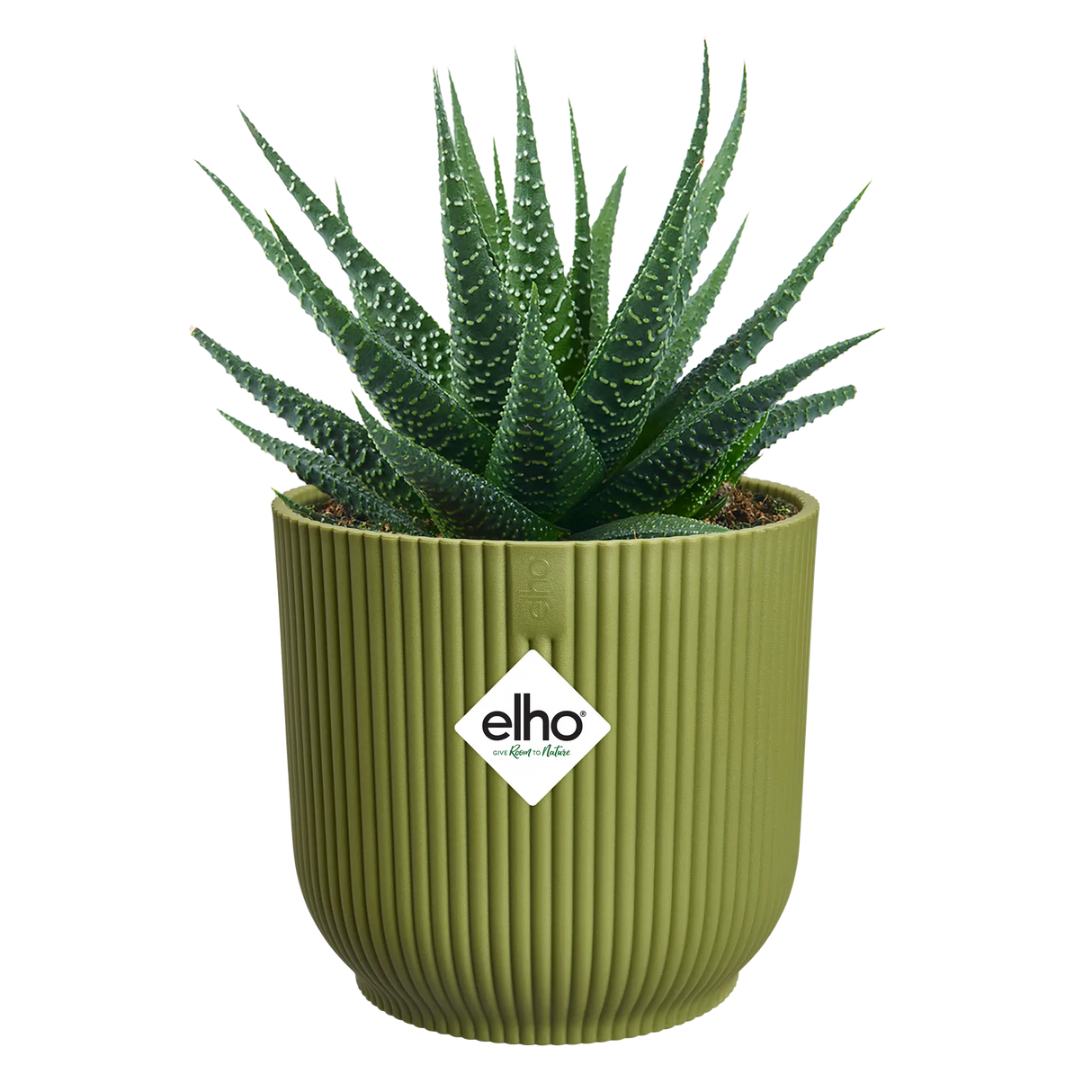Elho 14cm Vibes Fold Round Plant Pot - Fern Green