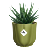 Elho 14cm Vibes Fold Round Plant Pot - Fern Green