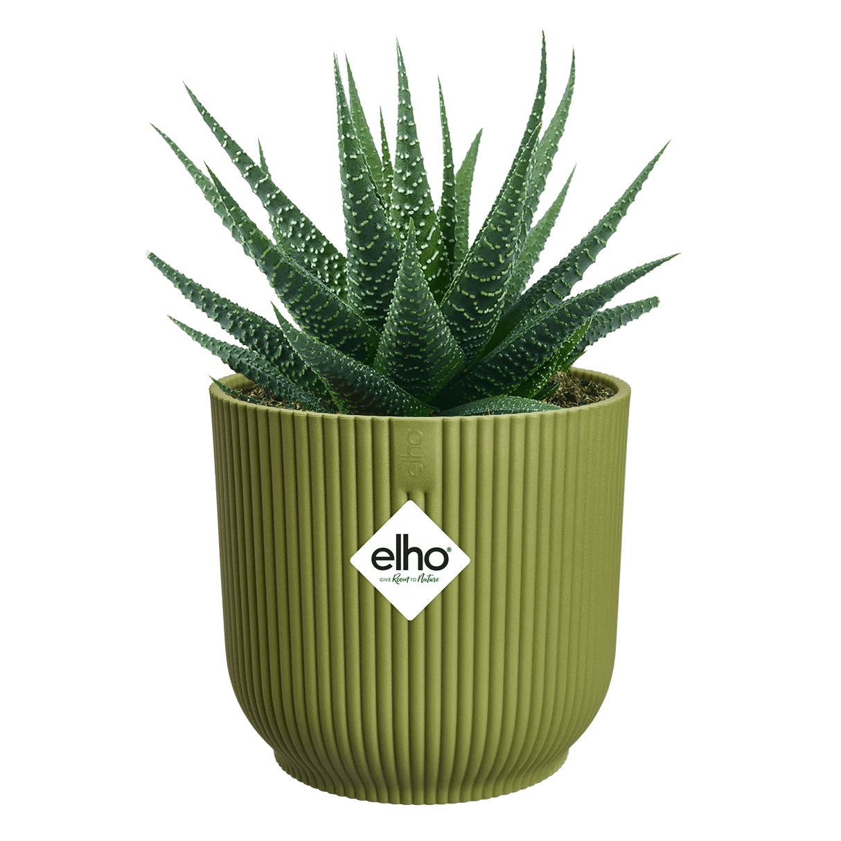 Elho 14cm Vibes Fold Round Plant Pot - Fern Green - Old Railway Line Garden Centre