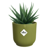 Elho 14cm Vibes Fold Round Plant Pot - Fern Green - Old Railway Line Garden Centre