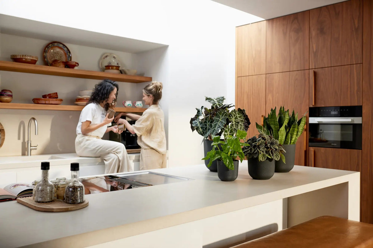 Elho 16cm Living Black Jazz Round Recycled Plastic Pot - Old Railway Line Garden Centre