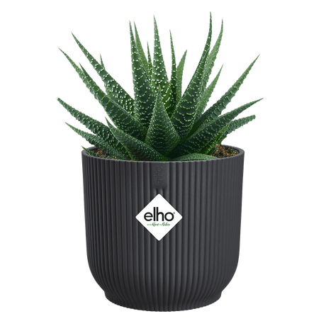 Elho 16cm Vibes Fold Round Plant Pot - Anthracite - Old Railway Line Garden Centre