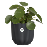 Elho 18cm Vibes Fold Round Plant Pot - Anthracite