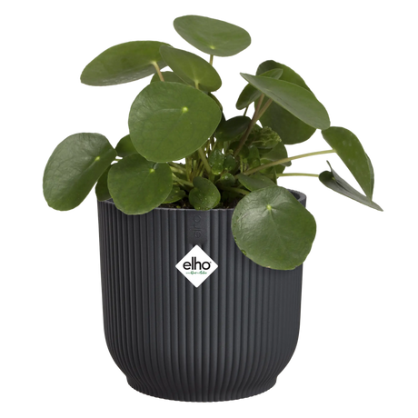 Elho 18cm Vibes Fold Round Plant Pot - Anthracite
