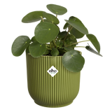 Elho 18cm Vibes Fold Round Plant Pot - Fern Green