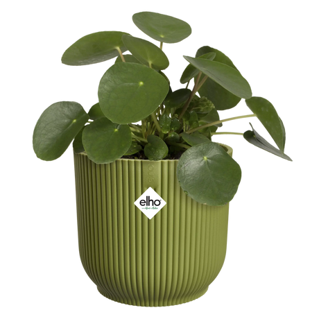 Elho 18cm Vibes Fold Round Plant Pot - Fern Green