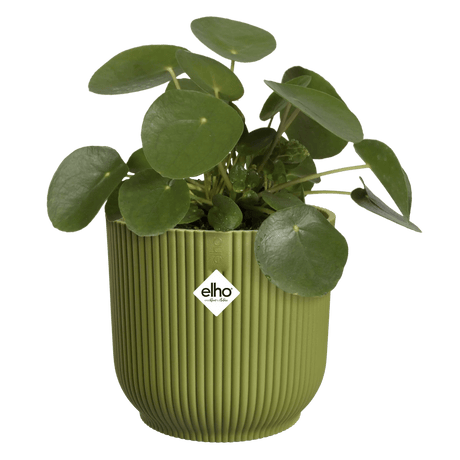 Elho 18cm Vibes Fold Round Plant Pot - Fern Green - Old Railway Line Garden Centre