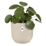 Elho 18cm Vibes Fold Round Plant Pot - Linen White - Old Railway Line Garden Centre