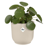 Elho 18cm Vibes Fold Round Plant Pot - Linen White