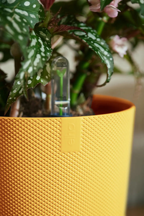 Elho 19cm Amber Yellow Jazz Round Recycled Plastic Pot - Old Railway Line Garden Centre