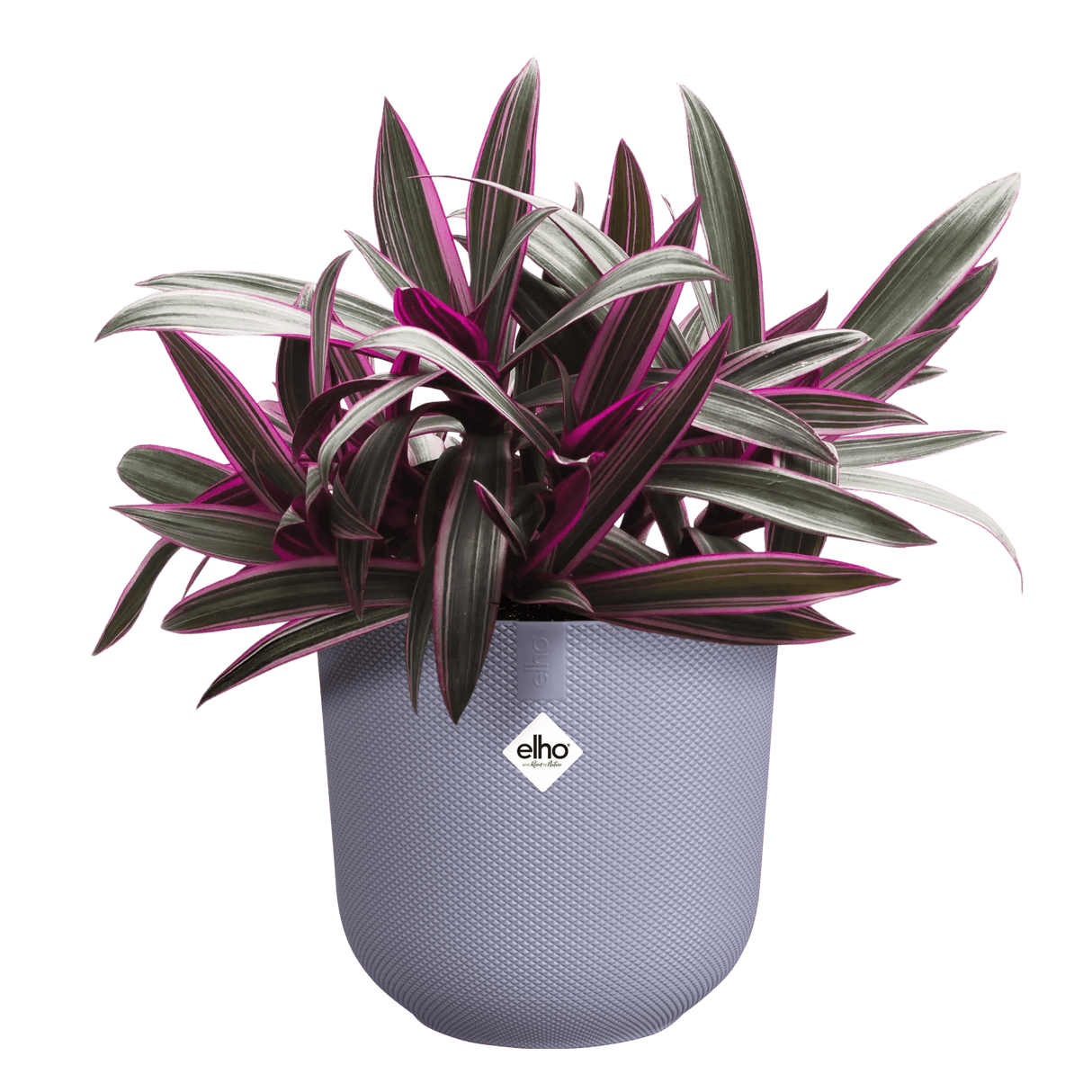 Elho 19cm Lavender Lilac Jazz Round Recycled Plastic Pot - Old Railway Line Garden Centre