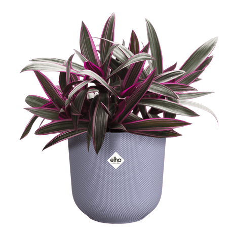 Elho 19cm Lavender Lilac Jazz Round Recycled Plastic Pot - Old Railway Line Garden Centre