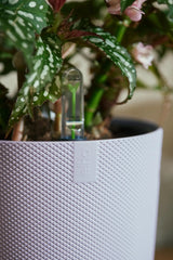 Elho 19cm Lavender Lilac Jazz Round Recycled Plastic Pot - Old Railway Line Garden Centre