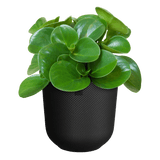 Elho 19cm Living Black Jazz Round Recycled Plastic Pot - Old Railway Line Garden Centre