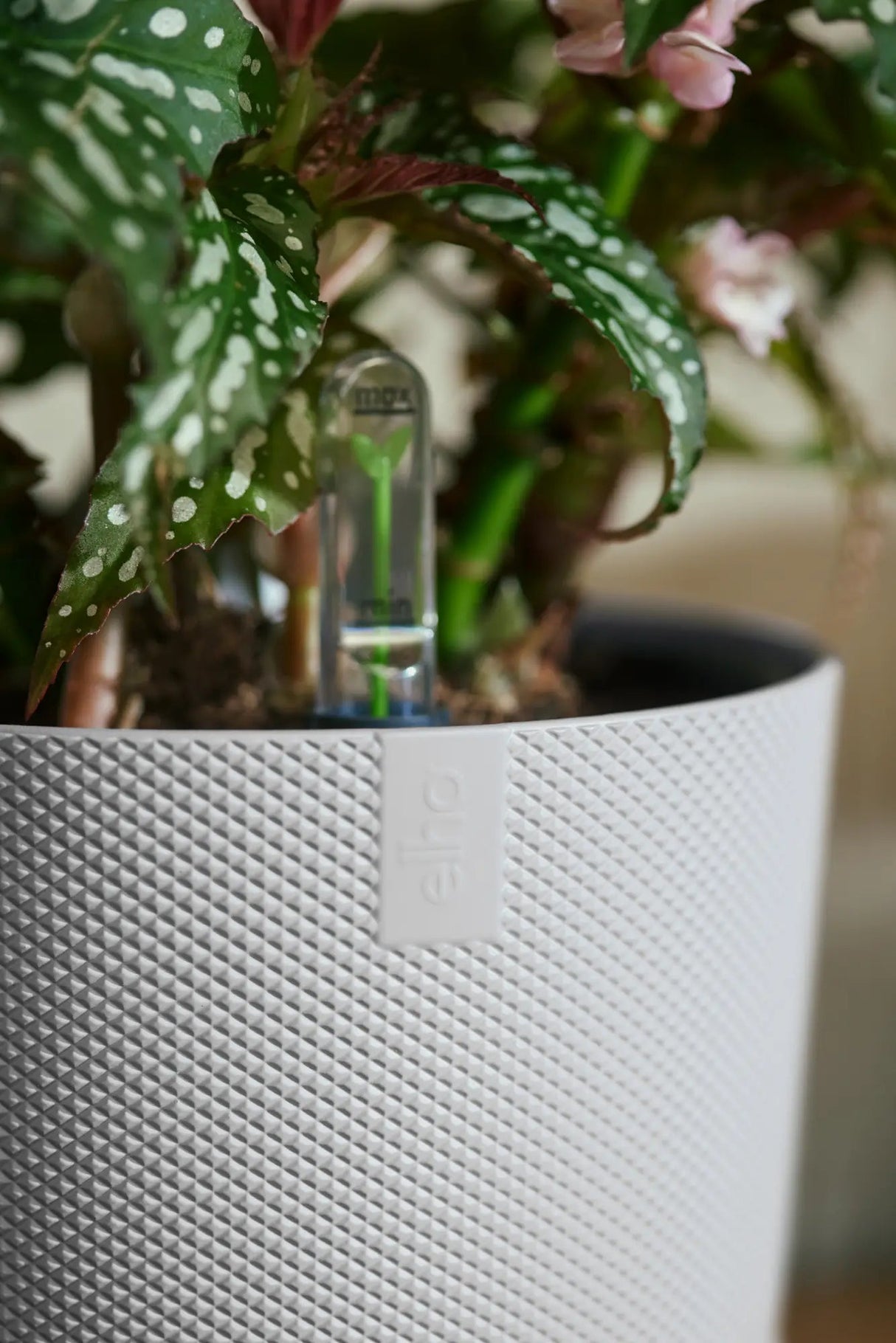 Elho 19cm Silky White Jazz Round Recycled Plastic Pot - Old Railway Line Garden Centre