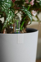 Elho 19cm Silky White Jazz Round Recycled Plastic Pot - Old Railway Line Garden Centre