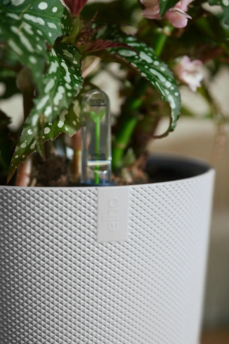 Elho 19cm Silky White Jazz Round Recycled Plastic Pot - Old Railway Line Garden Centre