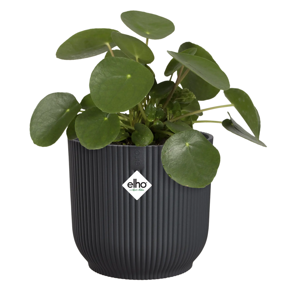 Elho 22cm Vibes Fold Round Plant Pot - Anthracite