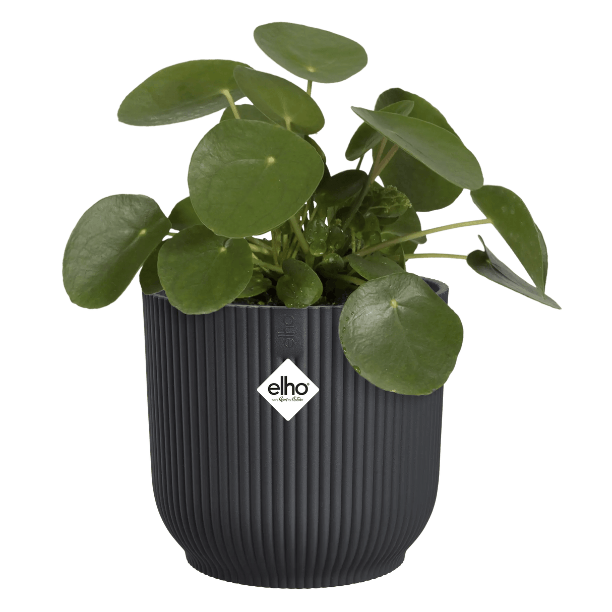 Elho 22cm Vibes Fold Round Plant Pot - Anthracite - Old Railway Line Garden Centre