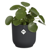 Elho 22cm Vibes Fold Round Plant Pot - Anthracite - Old Railway Line Garden Centre